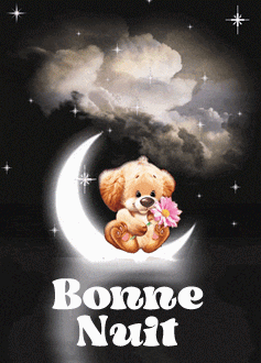 bonne nuit lune